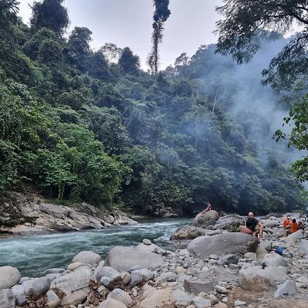 Lucky Bamboo'Bungalows-Resto And Orangutan Jungle Trekking Tours 武吉拉旺 外观 照片