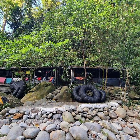 Lucky Bamboo'Bungalows-Resto And Orangutan Jungle Trekking Tours 武吉拉旺 外观 照片