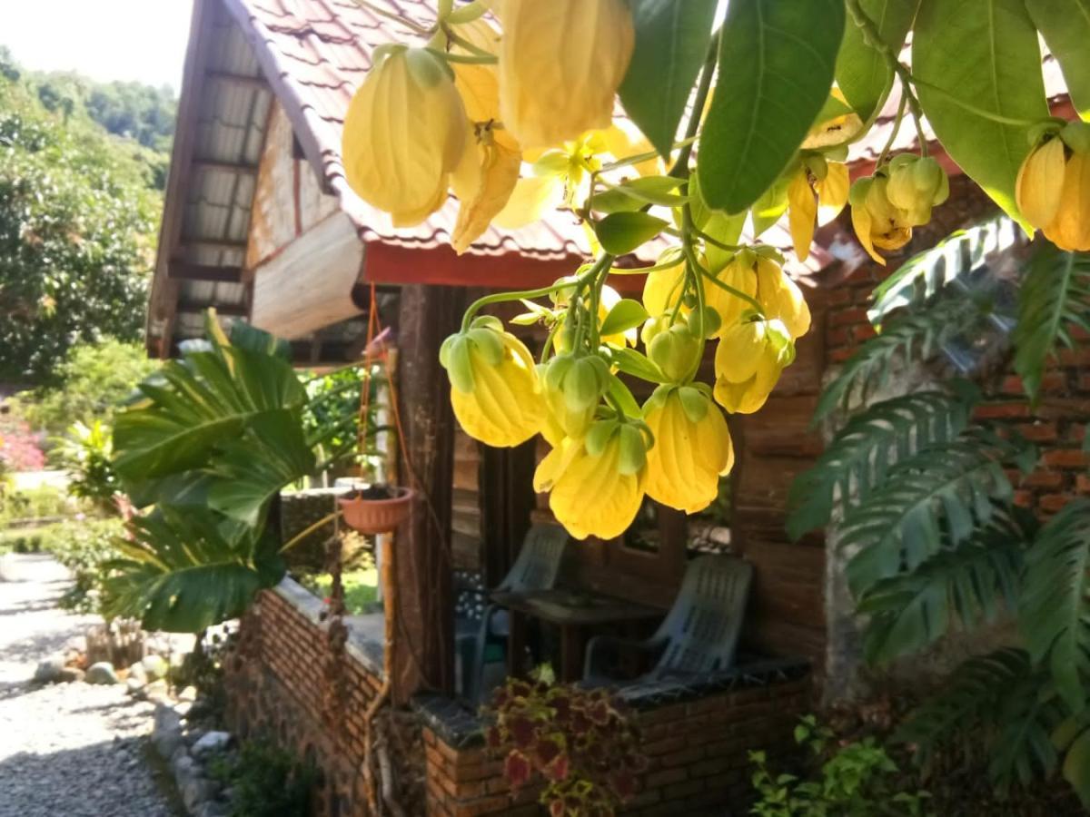 Lucky Bamboo'Bungalows-Resto And Orangutan Jungle Trekking Tours 武吉拉旺 外观 照片