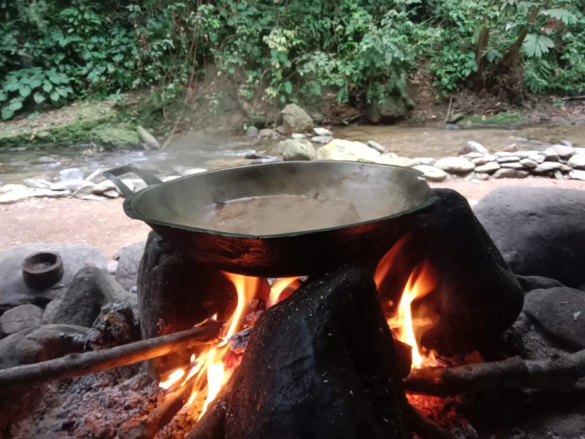 Lucky Bamboo'Bungalows-Resto And Orangutan Jungle Trekking Tours 武吉拉旺 外观 照片