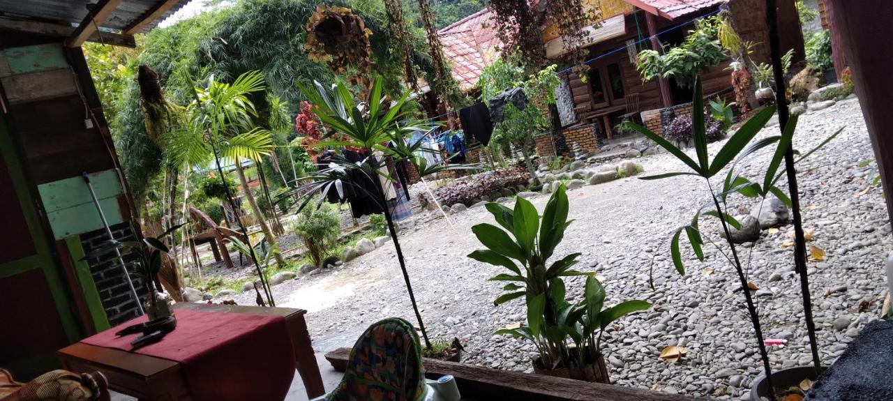 Lucky Bamboo'Bungalows-Resto And Orangutan Jungle Trekking Tours 武吉拉旺 外观 照片
