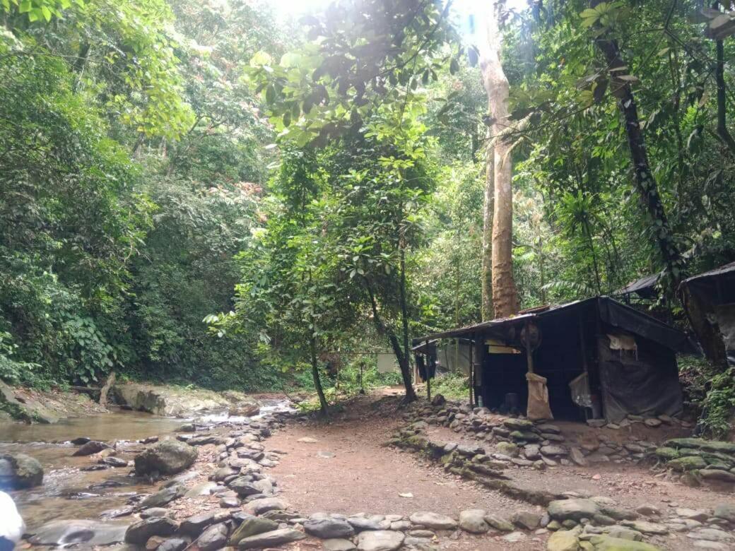 Lucky Bamboo'Bungalows-Resto And Orangutan Jungle Trekking Tours 武吉拉旺 外观 照片