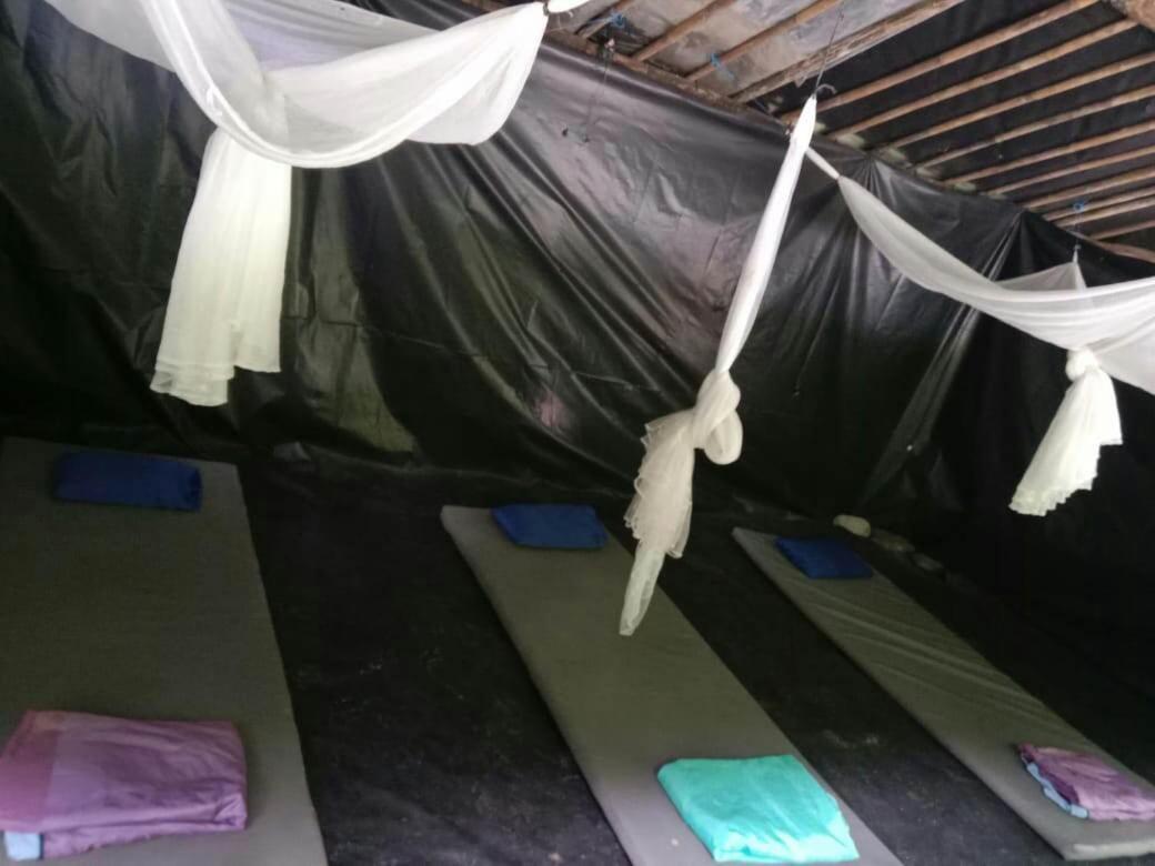 Lucky Bamboo'Bungalows-Resto And Orangutan Jungle Trekking Tours 武吉拉旺 外观 照片