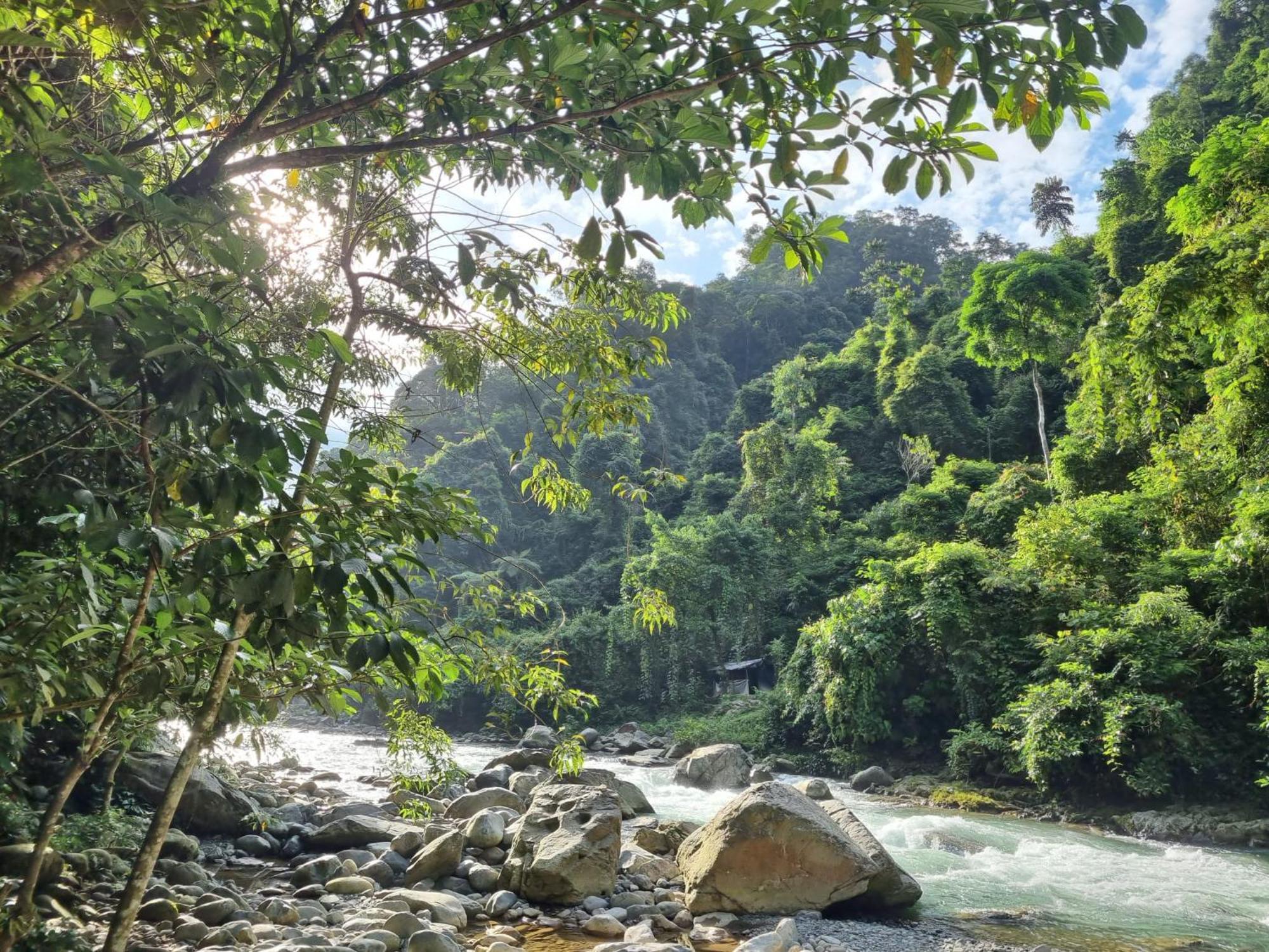 Lucky Bamboo'Bungalows-Resto And Orangutan Jungle Trekking Tours 武吉拉旺 外观 照片