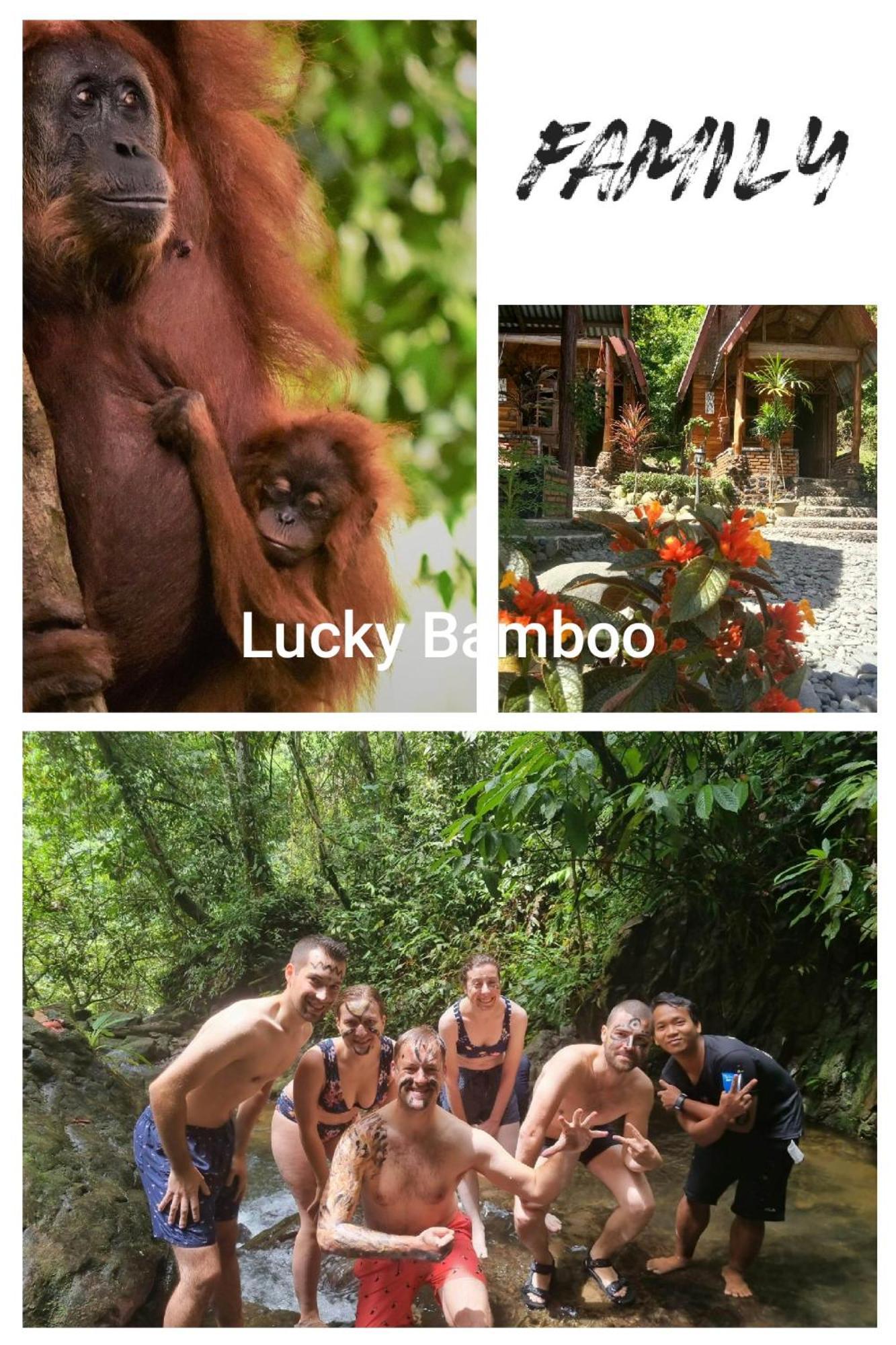 Lucky Bamboo'Bungalows-Resto And Orangutan Jungle Trekking Tours 武吉拉旺 外观 照片