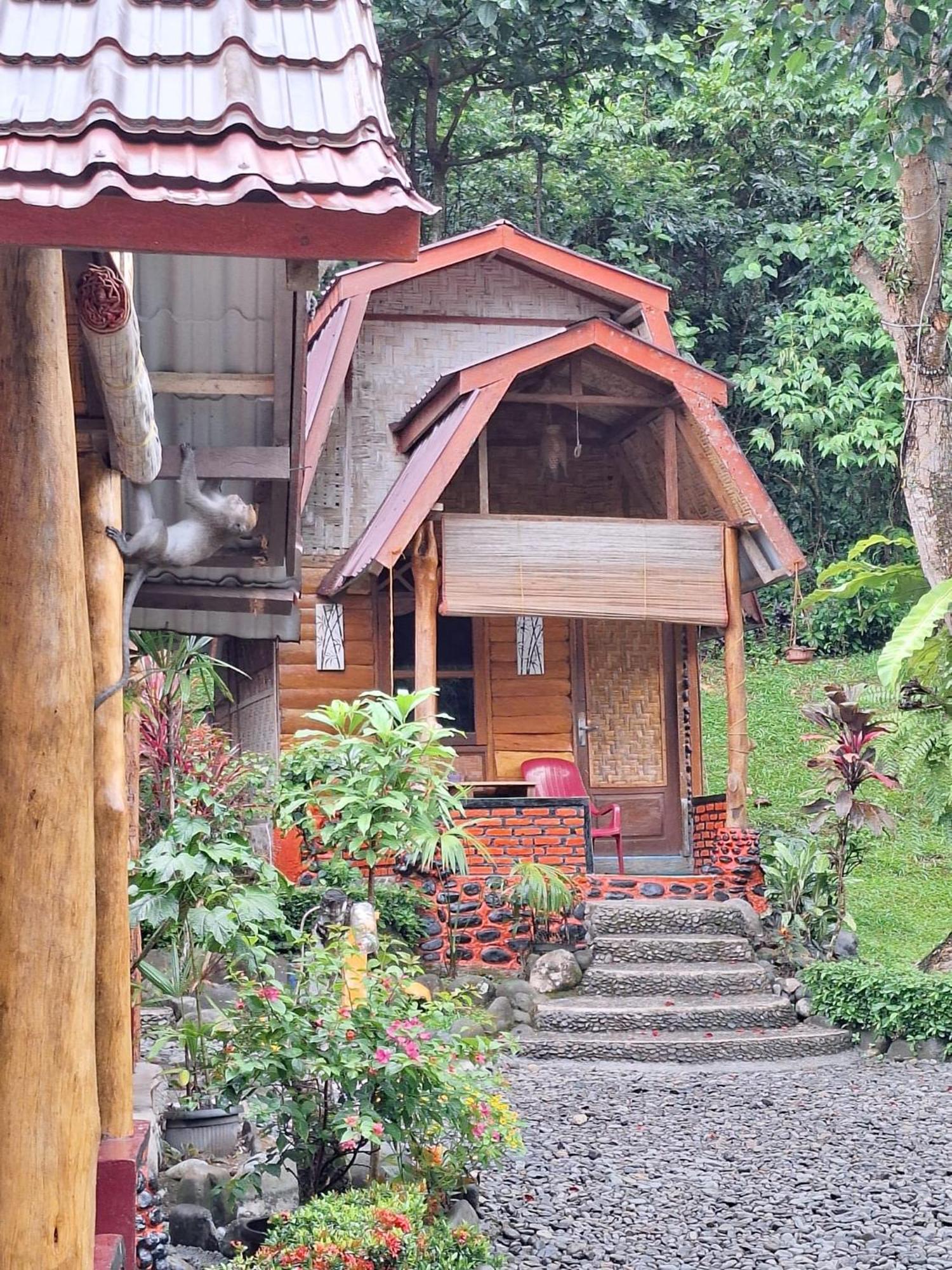 Lucky Bamboo'Bungalows-Resto And Orangutan Jungle Trekking Tours 武吉拉旺 外观 照片